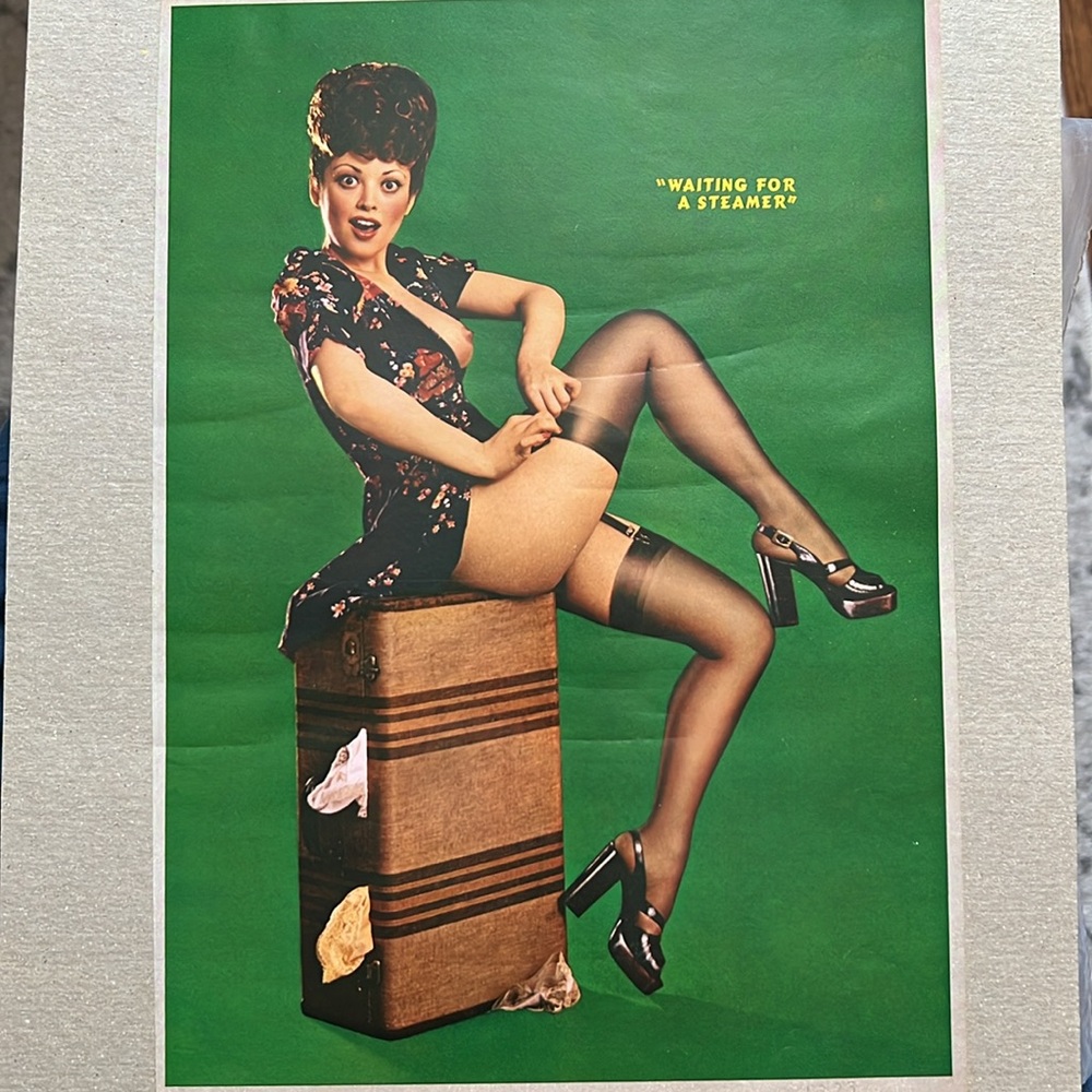 Vintage 1973 Playboy Pinup Print